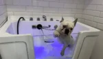 4_Jacuzzi 4_Jacuzzi